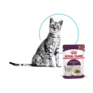 Royal Canin Sensory Feel Wet Cat Food - Gravy lifestyle image ones with bllack and white cat