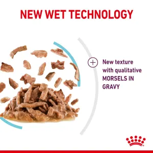 Royal Canin Sensory Feel Wet Cat Food - Gravy new technology texture