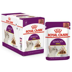 Royal Canin Sensory Smell Wet Cat Food - Gravy box and single pouch
