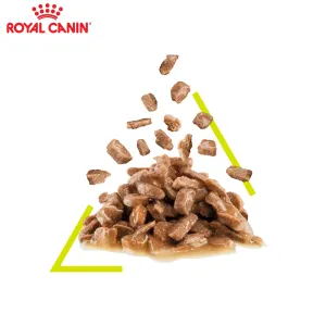 Royal Canin Sensory Smell Wet Cat Food - Gravy chunks in gravy