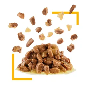 Royal Canin Sensory Taste Wet Cat Food - Gravy chunks in gravy