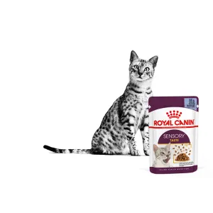 Royal Canin Sensory Taste Wet Cat Food - Gravy clack and white cat