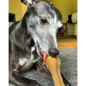Whimzees Rice Bone Dental Dog Treats lifestyle with black dog