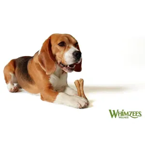 Whimzees Rice Bone Dental Dog Treats lifestyle two with beagle