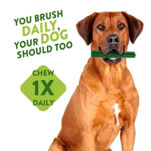 Whimzees Stix Dental Dog Treats - Daily Packs one chew a day