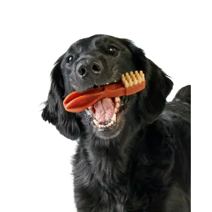 Whimzees Toothbrush Dental Dog Treats with black dog and reg brush