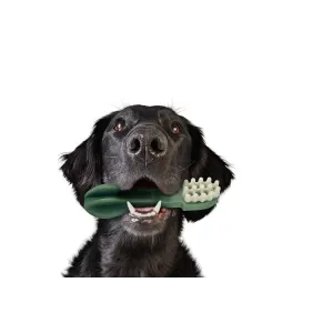 Whimzees Toothbrush Dental Dog Treats lifestyle with black dog and green brush