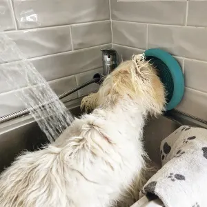 LickiMat UFO for pets lifestyle with dog in bath