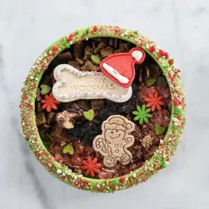 LickiMat UFO for pets lifestyle with frozen food in bowl