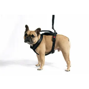 Outdoor and Adventure Dog Harness side view on light brown dog
