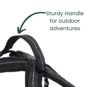 Outdoor and Adventure Dog Harness top handle for easy carrying