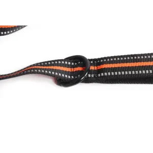 Jogging Dog Lead d-ring for poop bag dispenser