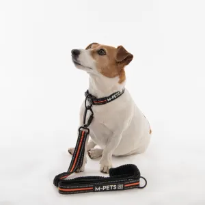 Jogging Dog Lead with white and brown Jack Russel