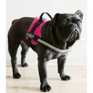 No Pull Dog Harness pink colour of black Frenchie