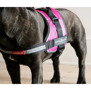 No Pull Dog Harness pink close up side view