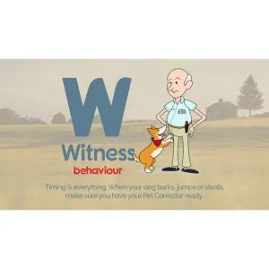 Pet Corrector Spray for Dogs witness bad behavior
