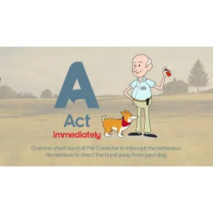 Pet Corrector Spray for Dogs Act on bad behavior