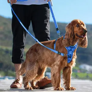 Rogz Control Dog Harness blue front and back connected