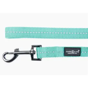 Reflective Supersoft Webbing Dog Lead blue colour close up with metal clip