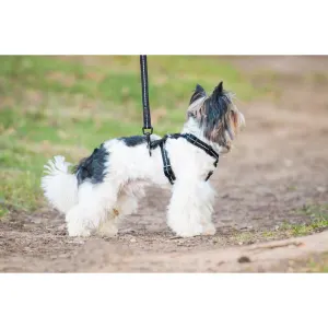 Reflective Supersoft Webbing Dog Lead black colour with white dog