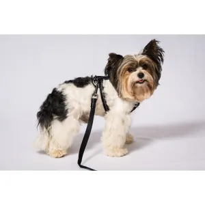Reflective Supersoft Webbing Dog Lead black colour side view
