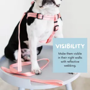 Reflective Supersoft Webbing Dog Lead visibility at night