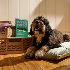 Earth Rated 120 Easy-Tie Degradable Bags lifestyle with dog
