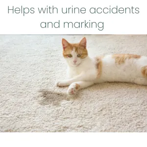 ProtectUs Cat Urine Odour Eliminator Lemon Fragranced 500ml helps with accidents and marking
