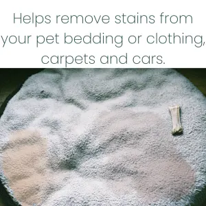 ProtectUs Stain Remover 500ml removes from bedding, clothing and car[ets