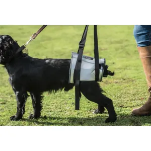 Mikki Helping Hands placed onto back end of black dog