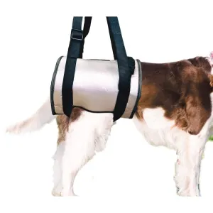 Mikki Helping Hands with brown and white dog inside
