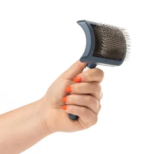 Mikki Doodles Grooming Kit slicker brush in hand