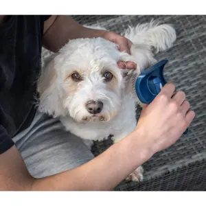 Mikki Doodles Grooming Kit lifestyle with slicker brush