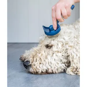 Mikki Doodles Grooming Kit lifestyle with slicker brush on dogs head