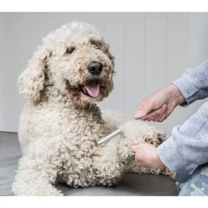 Mikki Doodles Grooming Kit lifestyle with comb being used of foot