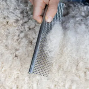 Mikki Doodles Grooming Kit comb being used on fur coat