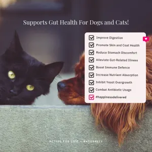 NutriFlex® FloraMax Natural Prebiotic & Probiotic for Dogs and Cats supports gut health