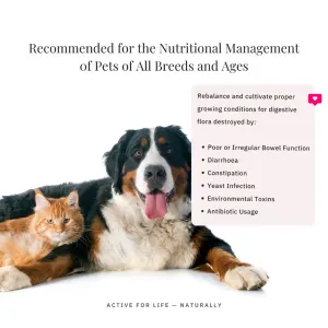 NutriFlex® FloraMax Natural Prebiotic & Probiotic for Dogs and Cats for all pet breeds