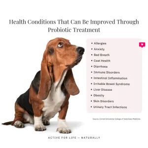 NutriFlex® FloraMax Natural Prebiotic & Probiotic for Dogs and Cats will improve your pets health
