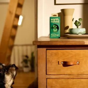 Degradable Refill Poop Bags - Unscented lifestyle image with doggy nose