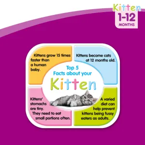 Whiskas Kitten Food - Beef & Milk top 5 facts about your kitten