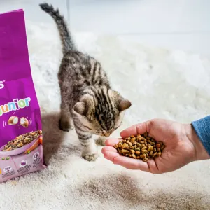 Whiskas Kitten Food - Beef & Milk lifestyle with kitten