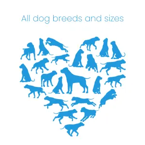 GCS Joint Care Pure 250g for all dog breeds and sizes