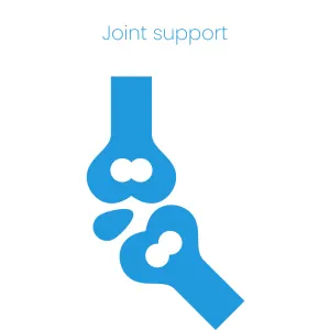 GCS Joint Care Pure 250g made for joint support