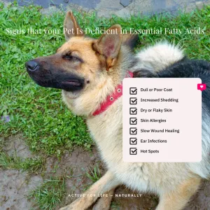 NutriFlex OmegaMax Fish Oil for Dogs and Cats signs you need to know