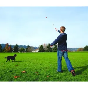 Chuckit! Classic Launcher - Medium Ball lifestyle throwing the ball with black dog
