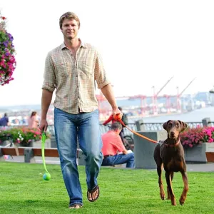 Chuckit! Classic Launcher - Medium Ball lifestyle with brown dog and green chuckit