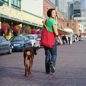 Chuckit! Classic Launcher - Medium Ball lifestyle in bag while walking your dog