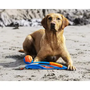 Chuckit! Fetch & Fold Ball Launcher lifestyle on beach with golden dog