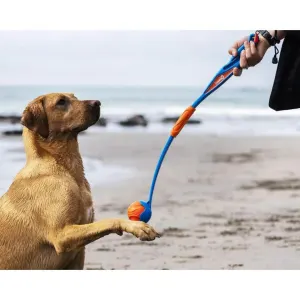 Chuckit! Fetch & Fold Ball Launcher lifestyle extended with golden dog